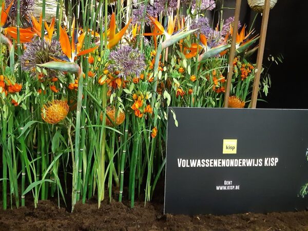  Kisp schittert op Floraliën