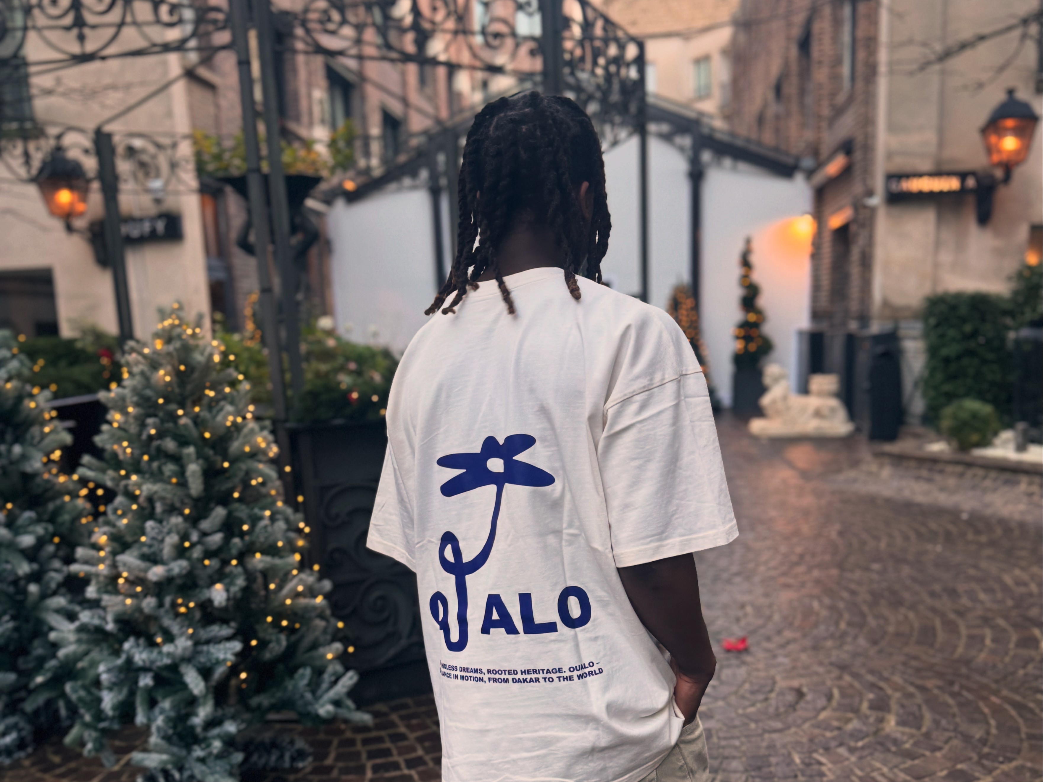 First image description